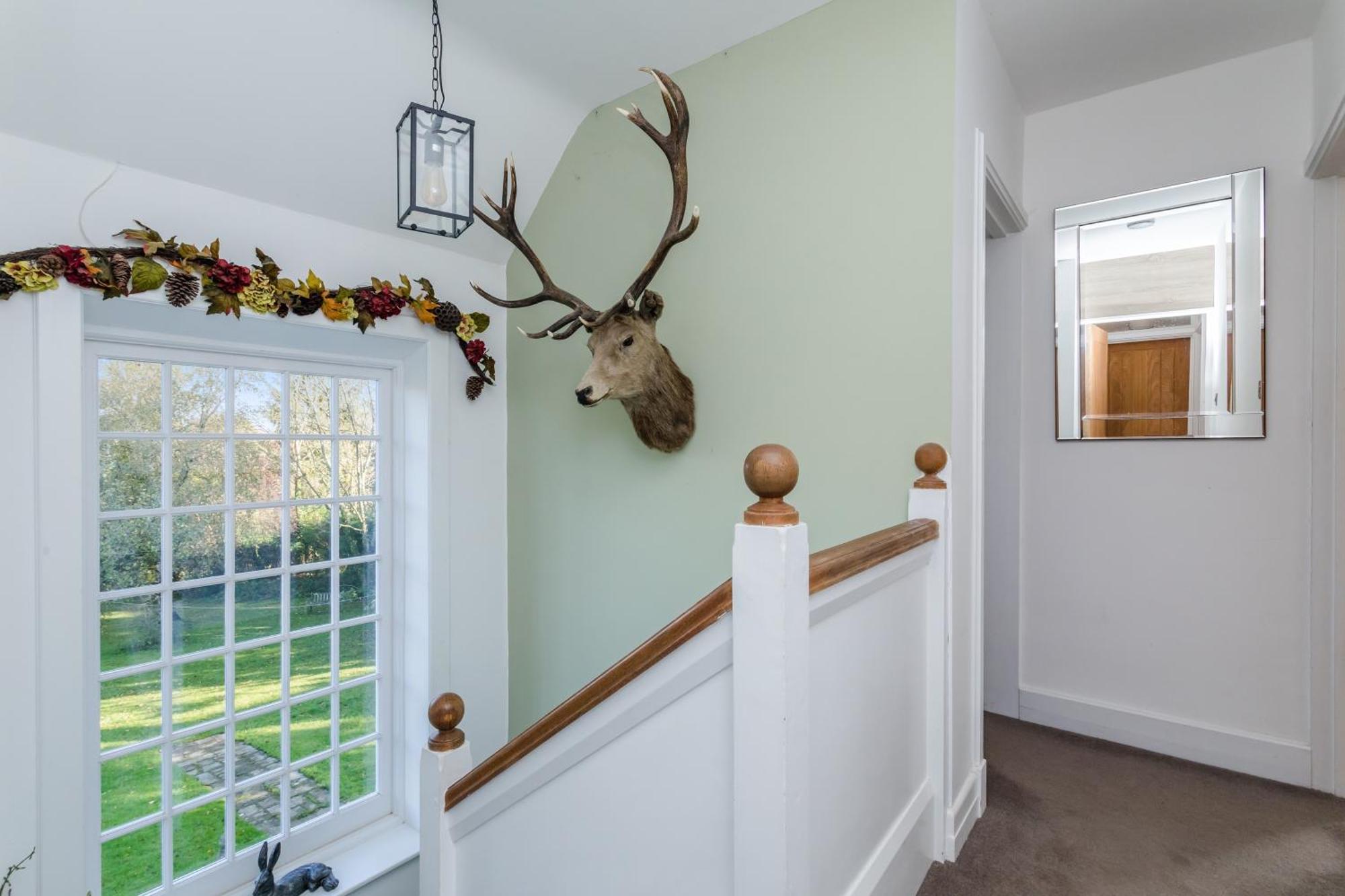 Pretty Country Home Dog Friendly On Request Henfield Екстер'єр фото